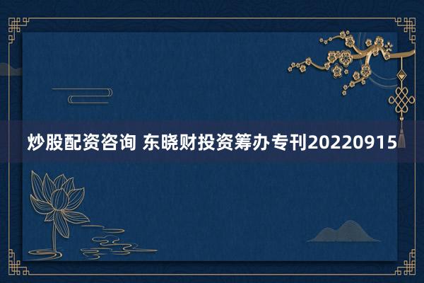 炒股配资咨询 东晓财投资筹办专刊20220915