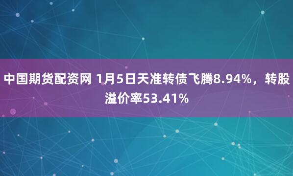 中国期货配资网 1月5日天准转债飞腾8.94%，转股溢价率53.41%